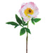 22" Handwrapped Peony Silk Flower Stem -Soft Pink (pack of 12) - HSP901-PK/SO