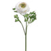 13" Handwrapped Silk Ranunculus Flower Spray -Cream/Burgundy (pack of 12) - HSR600-CR/BU