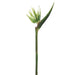 37" Handwrapped Bird Of Paradise Silk Flower Stem -Green (pack of 6) - JTB718-GR