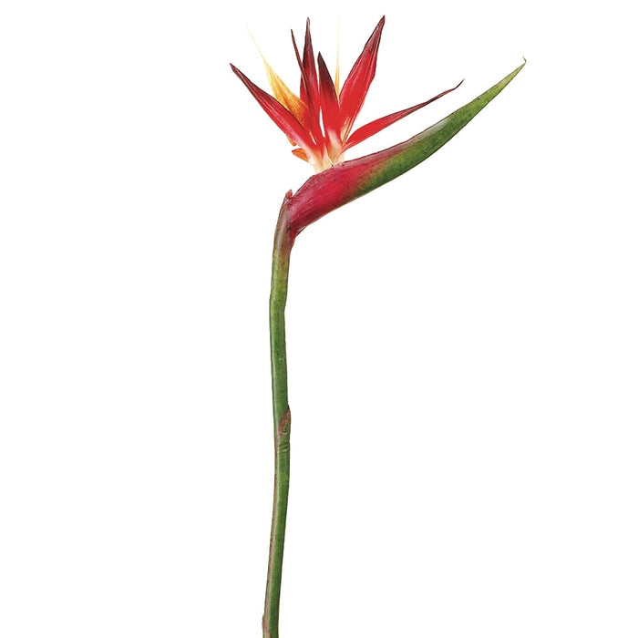 37" Handwrapped Bird Of Paradise Silk Flower Stem -Red/Orange (pack of 6) - JTB718-RE/OR