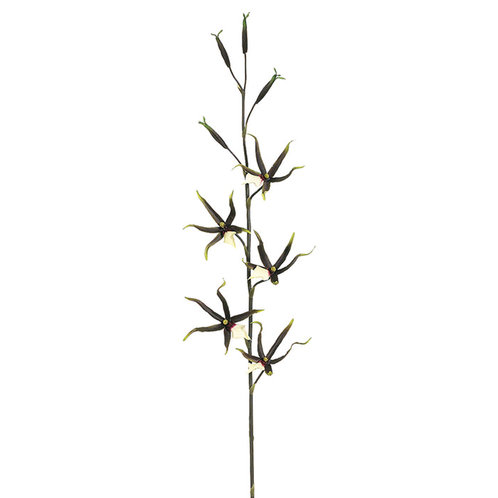 39" Handwrapped Silk Spider Orchid Flower Spray -Black/Yellow (pack of 12) - JTO100-BK/YE