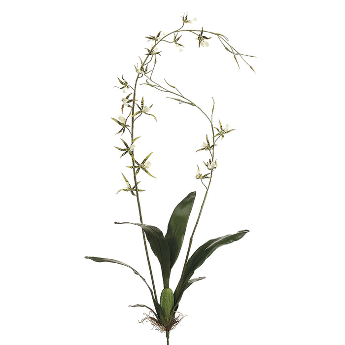 52" Handwrapped Silk Brassia Orchid Plant Flower Spray -Green (pack of 4) - JTO196-GR
