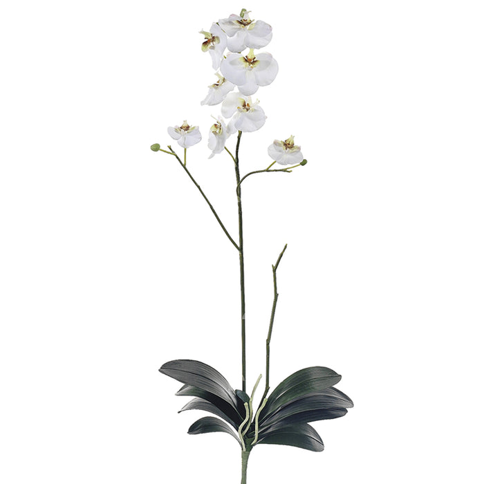 31" Handwrapped Silk Phalaenopsis Orchid Plant Flower Spray -Cream/Green (pack of 4) - JTO806-CR/GR