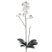 31" Handwrapped Silk Phalaenopsis Orchid Plant Flower Spray -Cream/Green (pack of 4) - JTO806-CR/GR