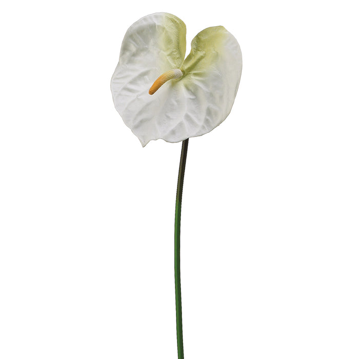 27" Handwrapped Silk Large Anthurium Flower Spray -Cream/White (pack of 12) - JYA290-CR/WH