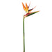 31" Handwrapped Silk Large Bird Of Paradise Flower Spray -Natural (pack of 6) - JYB411-NA