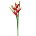 34" Handwrapped Hawaiian Heliconia Silk Flower Stem -Red (pack of 6) - JYH754-RE