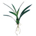 18" Silk Dancing Orchid Leaf Plant Stem -Green (pack of 12) - JYL822-GR