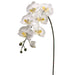 36" Handwrapped Silk Large Phalaenopsis Orchid Flower Spray -White/Yellow (pack of 6) - JYO783-WH/YE