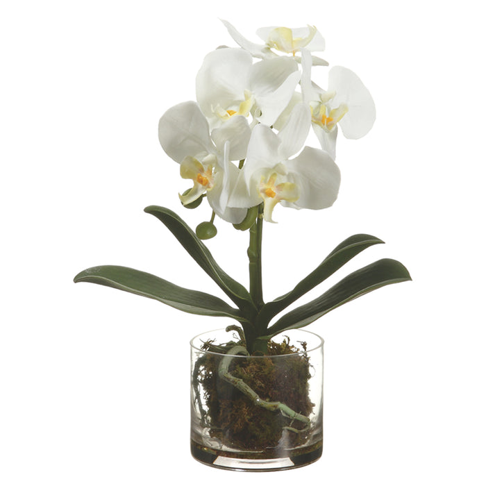 13" Phalaenopsis Orchid Silk Flower Arrangement -White - LFO198-WH