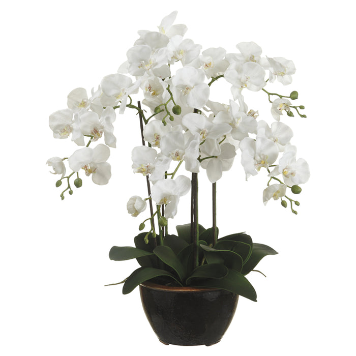 24" Phalaenopsis Orchid Silk Flower Arrangement -White (pack of 2) - LFO314-WH