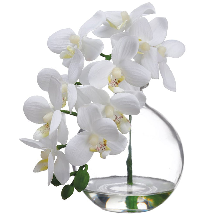 10" Phalaenopsis Orchid Silk Flower Arrangement -Cream (pack of 8) - LFO956-CR