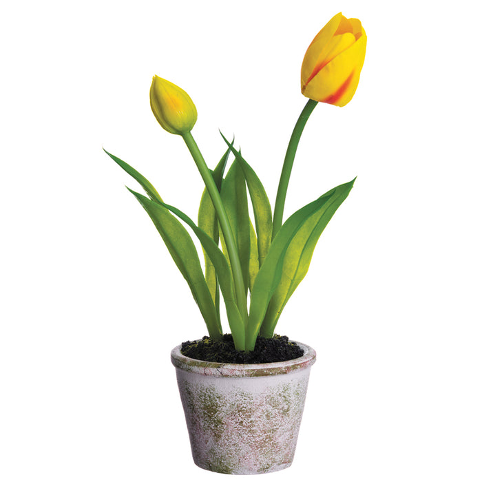 9" Tulip Silk Flower Arrangement -Yellow (pack of 12) - LFT536-YE