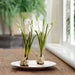 10" Handwrapped Standing Snowdrop w/Bulb Silk Flower Arrangement -White (pack of 24) - LHA432-WH