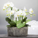 19" Handwrapped Phalaenopsis Orchid Silk Flower Arrangement -Cream/Green - LHO200-CR/GR