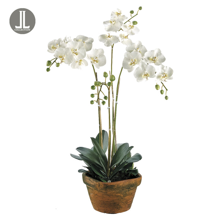 36" Handwrapped Phalaenopsis Orchid Silk Flower Arrangement -White - LHO668-WH