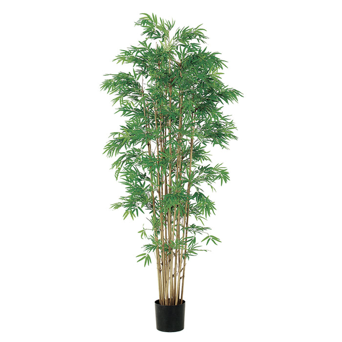 6' Japanese Bamboo Silk Tree w/Pot -3,360 Leaves (pack of 2) - LPB052-GR/TT