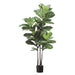 5'10" Fiddle Leaf Fig Silk Tree w/Pot -Green (pack of 2) - LPL239-GR