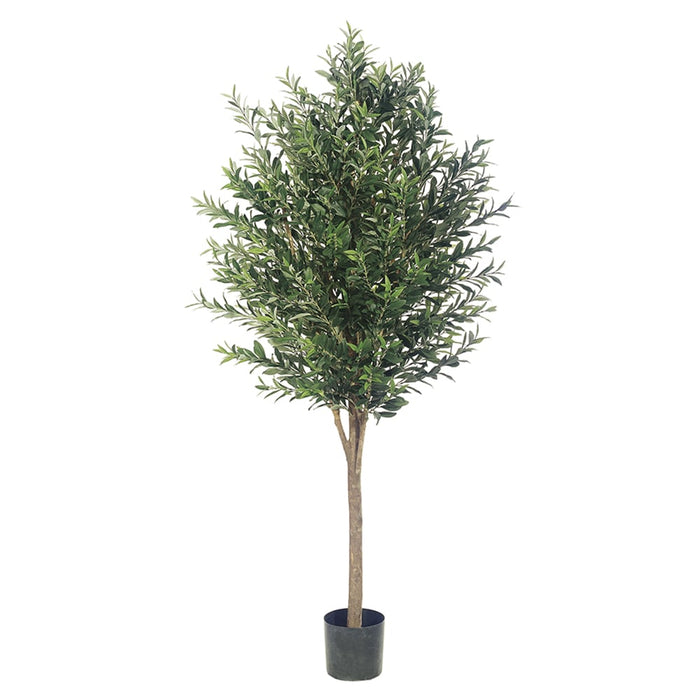 6' Olive Silk Tree w/Pot (pack of 2) - LPO416-GR/TT