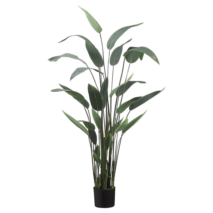 5'4" Water Canna Silk Palm Tree w/Pot -Green (pack of 2) - LPP160-GR