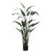 5'4" Water Canna Silk Palm Tree w/Pot -Green (pack of 2) - LPP160-GR