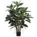 3'3" Rubber Leaf Silk Tree w/Pot -Green (pack of 2) - LPR135-GR
