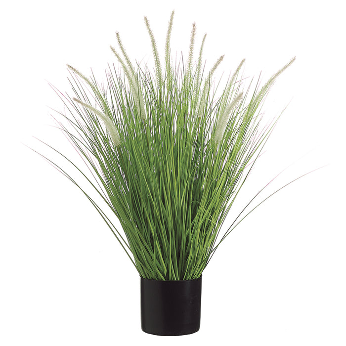 34" Dog Tail Grass Artificial Plant w/Pot -Green/Cream (pack of 4) - LQG753-GR/CR