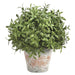 9" Tea Leaf Ball-Shaped Artificial Topiary Plant w/Terra Cotta Pot -Green (pack of 4) - LQL137-GR