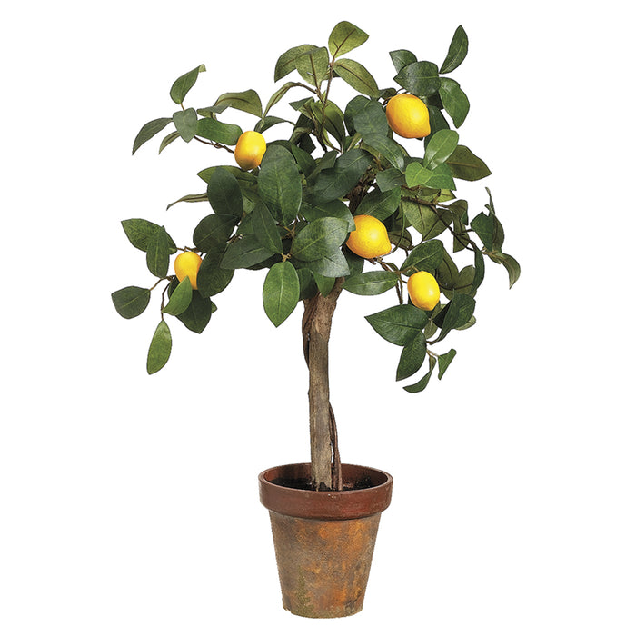 22" Young Lemon Silk Fruit Tree w/Pot (pack of 4) - LQR757-YE