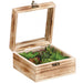 3.1"Hx5.9"W Succulent Garden Artificial Plant w/Wood Box -Green/Gray (pack of 6) - LQS135-GR/GY