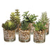 4" Set Of Assorted Succulent Artificial Plant w/Glass Vase -2 Tone Green (pack of 4) - LQS346-GR/TT