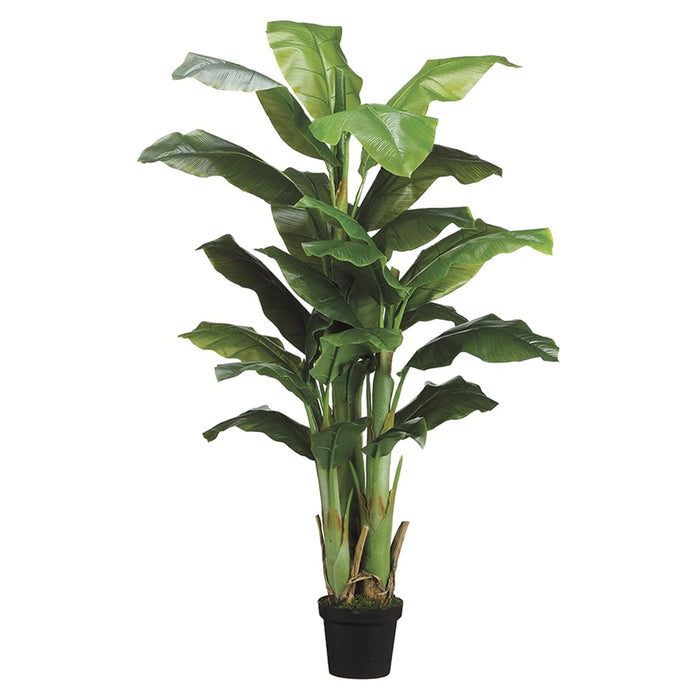 5' Banana Silk Palm Tree w/Pot -Green (pack of 2) - LTB515-GR
