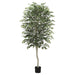 7' Birch Silk Tree w/Pot -Green (pack of 2) - LTB518-GR