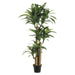 5' Triple Trunk Dracaena Silk Corn Tree w/Pot - LTD755-GR/TT