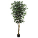 5' Ficus Silk Tree w/Pot -Green (pack of 2) - LTF275-GR