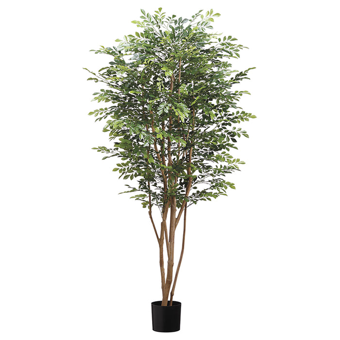 6' Huckleberry Silk Tree w/Pot -Green (pack of 2) - LTH550-GR