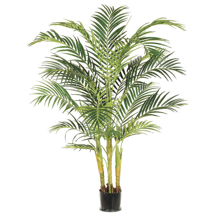 6' Tropical Areca Silk Palm Tree w/Pot (pack of 2) - LTP106-GR