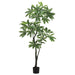 6' EVA Money Silk Tree w/Pot -Green (pack of 2) - LTP206-GR