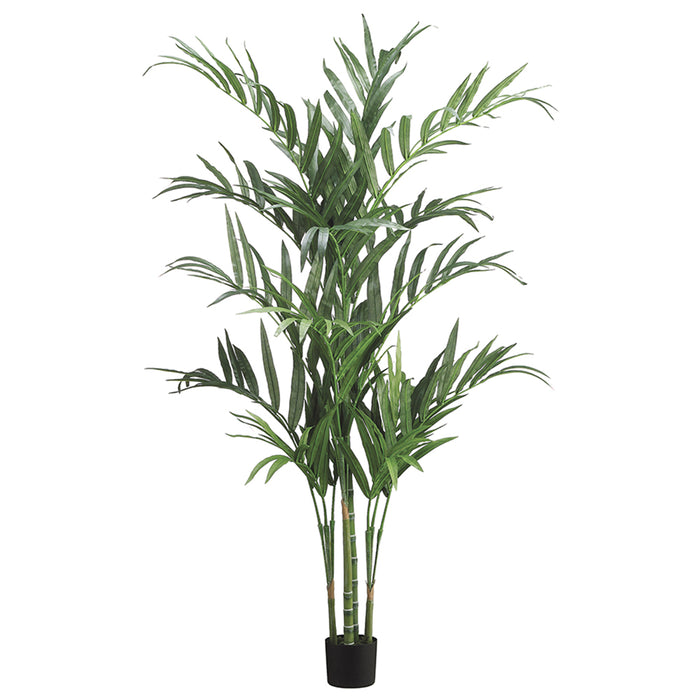 6' Kentia Silk Palm Tree w/Pot -Green (pack of 2) - LTP947-GR