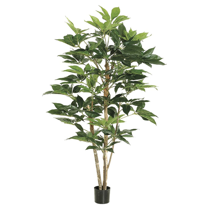 5' Schefflera Silk Tree w/Pot (pack of 2) - LTS105-GR