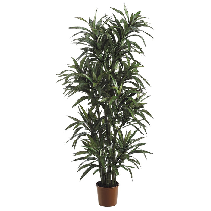 6' Yucca Silk Tree w/Pot (pack of 2) - LTY416-GR/RE