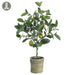 25" Lemon Topiary Silk Fruit Tree w/Clay Pot -Yellow/Green (pack of 4) - LVL125-YE/GR