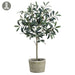 2'2" Olive Silk Tree w/Clay Pot -Green/Burgundy (pack of 4) - LVO126-GR/BU