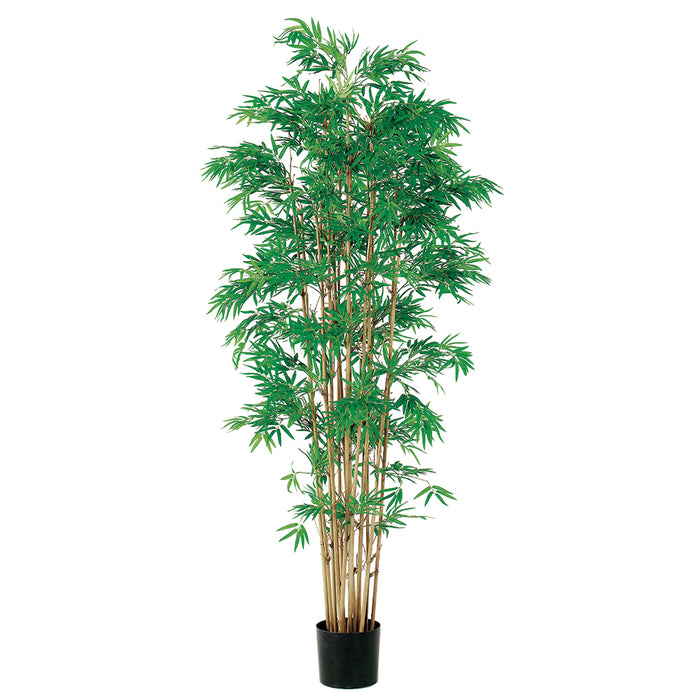 6' Japanese Bamboo Silk Tree w/Pot -3,360 Leaves - LZB052-GR/TT