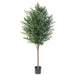 6' Olive Silk Tree w/Pot - LZO416-GR/TT