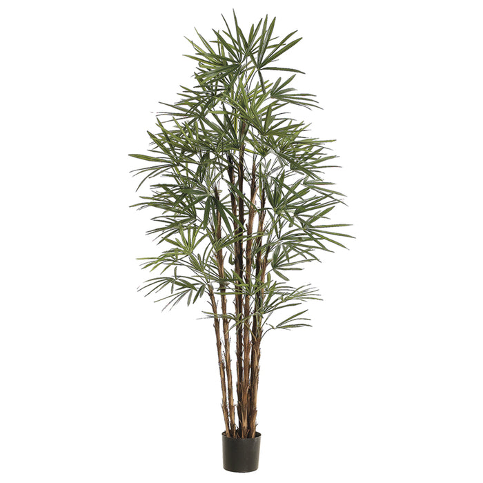 6'10" Honey Rhapis Silk Palm Tree w/Pot - LZP217-GR