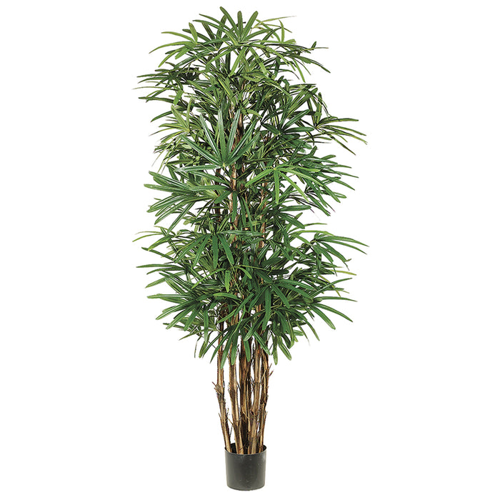 7'6" Honey Lady Silk Palm Tree w/Pot - LZP766-GR/TT