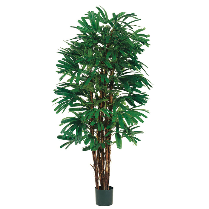 5' Rhapis Silk Palm Tree w/Pot - LZR315-GR/TT