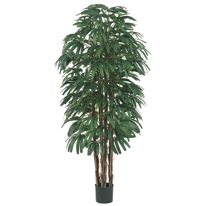 6' Rhapis Silk Palm Tree w/Pot - LZR316-GR/TT