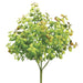 12" Boxwood Artificial Plant -Green (pack of 24) - PBB399-GR